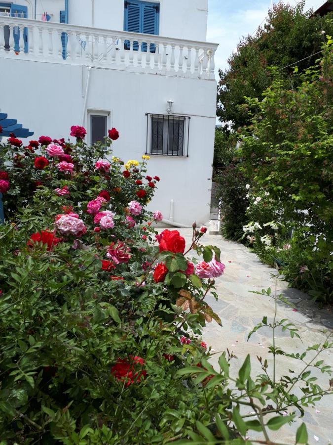 Roula's Andros Town