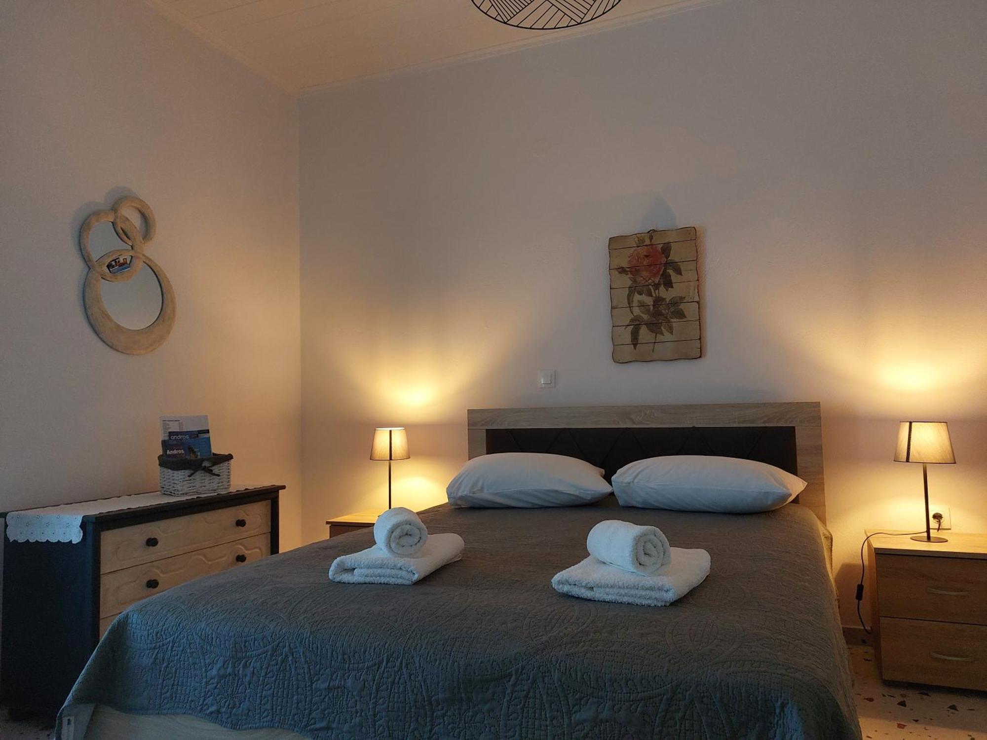 Roula's Apartment Andros Town